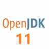OpenJDK11